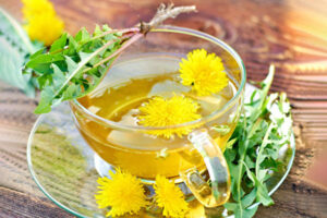 「タンポポ茶は肝臓を助けます」体内を解毒する6種の薬草茶