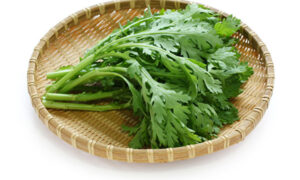 台湾でも人気の春菊サラダ「栄養豊富で老化防止にもお薦めです」