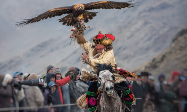カザフの人々の伝統的で美しい鷹狩りの文化