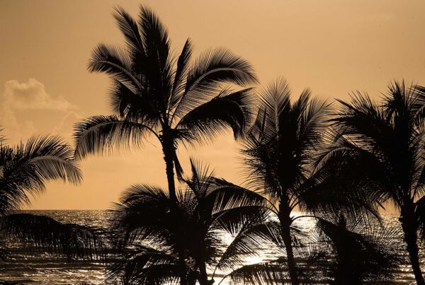 日米英豪NZ、中国念頭に太平洋地域で新枠組み「PBP」を立ち上げ