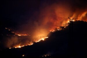 欧州熱波北上、英で記録的高温か　山火事頻発の南欧で数百人死亡