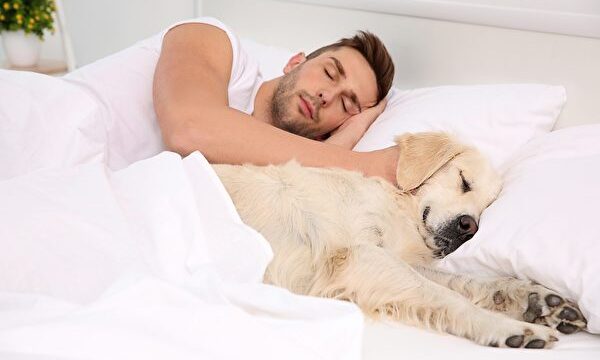 子犬と寝る時　スーパー耐性菌の感染に要注意
