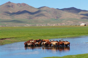 「民と富を共有する」モンゴルの帝王ーーオゴタイ（下）