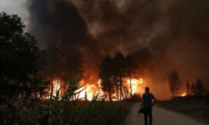 ポルトガル・スペインで大規模森林火災、熱波で新たなリスクも