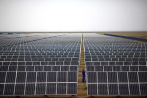 中国の太陽光発電新設、上期に倍以上拡大＝業界団体