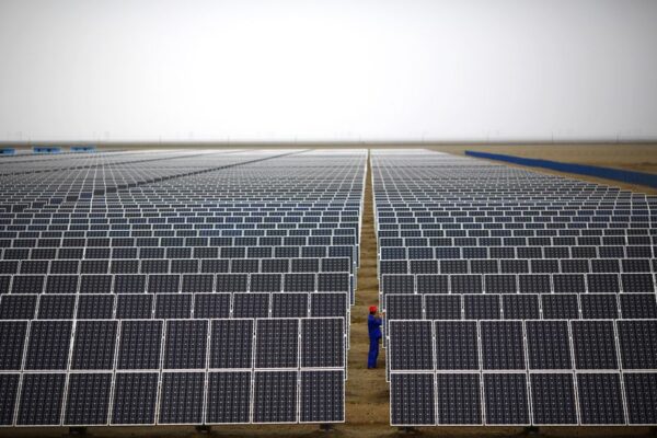 中国の太陽光発電新設、上期に倍以上拡大＝業界団体
