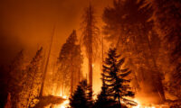 気候科学者の告白 「山火事は温暖化のせい」に話を合わせるしかなかった