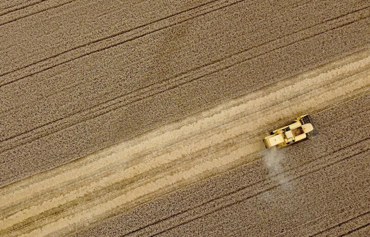 世界の食料輸入コストが今年過去最高に、前年比10％増＝国連機関