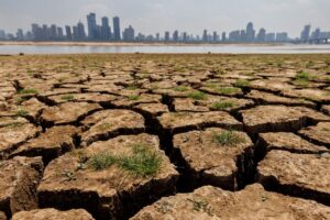 焦点：乾く大地、失われる土壌　世界の農業生産を脅かす気候変動