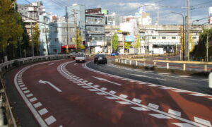 飛鳥大坂　徳川吉宗の心意気が開いた桜の名所【坂のある風景】