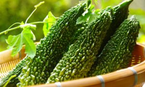 ゴーヤは血糖値を下げ、糖尿病を抑制する効果がある！？ 摂取を注意すべき状態とは（2）