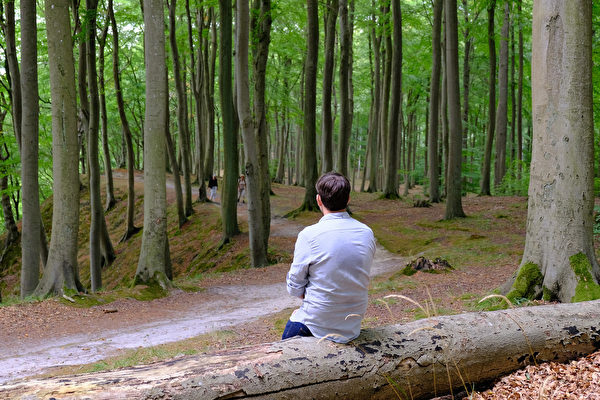 森林浴でストレス解消、3つの癒し効果でがんに効く（3）