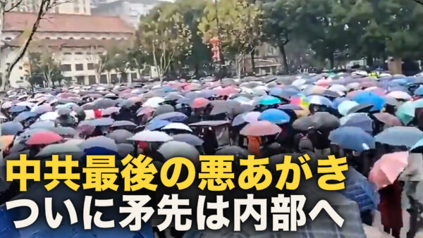 武漢で大規模抗議デモ、ついにニラ狩りの鎌を内部に向け始めた、中共最期の悪あがき【秦鵬直播】