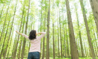 森林浴でストレス解消、3つの癒し効果でがんに効く（2）