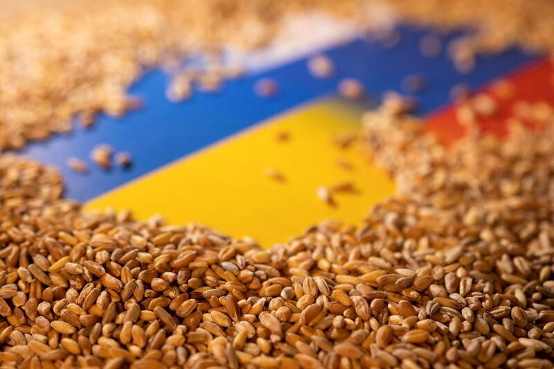 ロシア、穀物取引再延長の条件提示　農業銀のＳＷＩＦＴ復帰など