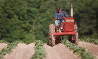 米ノースカロライナ州下院　中国による農地購入禁止法案　全会一致で可決　