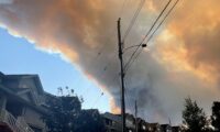 カナダ東海岸で大規模な森林火災、1.8万人に避難命令