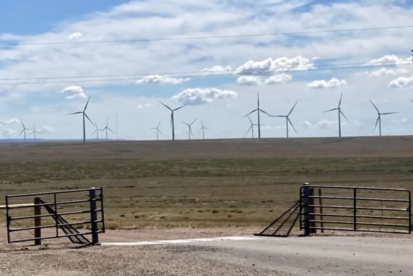 「信じられない」　風力発電企業が脅かす脆弱な砂漠の生態系