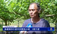 中国、台湾産バンレイシの輸入再開を発表　「中国政府に振り回されたくない」と生産者