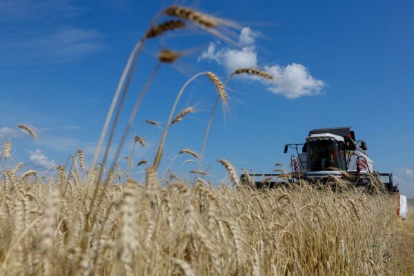 世界穀物価格、最大15％上昇も　ロシア合意停止で＝ＩＭＦエコノミスト