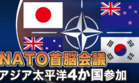 北大西洋条約機構（NATO）の首脳会議、アジア太平洋地域の4か国が参加 |【世界の十字路】