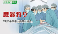 【図解でわかりやすく】中国で臓器移植を行ってはいけない本当の理由