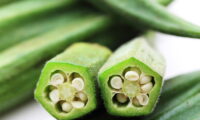 緑の高麗人参 オクラ 　低カロリーで栄養価が高く、美容にも（1）