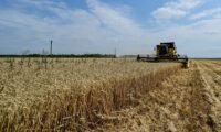 ポーランド農相、「ウクライナとの協議進展」　穀物禁輸巡り対立