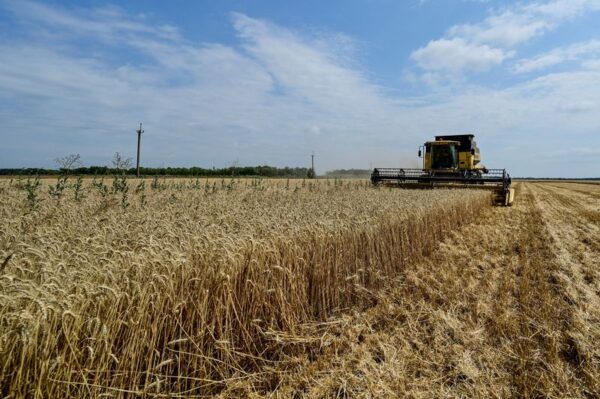 ポーランド農相、「ウクライナとの協議進展」　穀物禁輸巡り対立