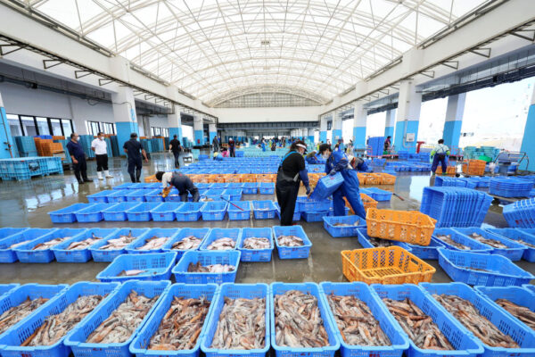 日本外務省、中国の全面輸入停止「全く容認できない」WTOに報告