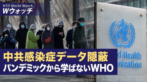 中共またも感染症データを隠蔽　パンデミックから学ばないWHO/中共を抑え込む 日本とベトナム首脳会談 安全保障協力拡大へ など｜NTD ワールドウォッチ（2023年11月30日）