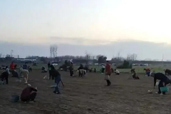 またも民衆による集団略奪事件が発生　警備員や警察も制止できず＝中国 河南