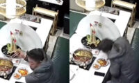 「天井からネズミが降ってきた」　商業施設の飲食店で、食事客が「災難」に＝中国 浙江