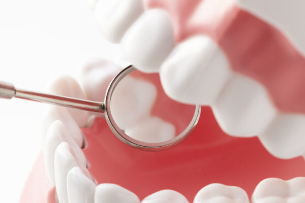 日本の科学者が新しい歯の成長を促す新薬を開発