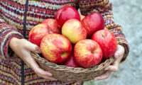 りんごの最も健康効果を得るために知っておくべきこと（2）