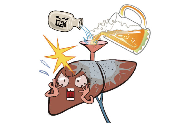 飲酒は肝臓を痛める＝飲酒をやめると肝臓はどうなるのか？