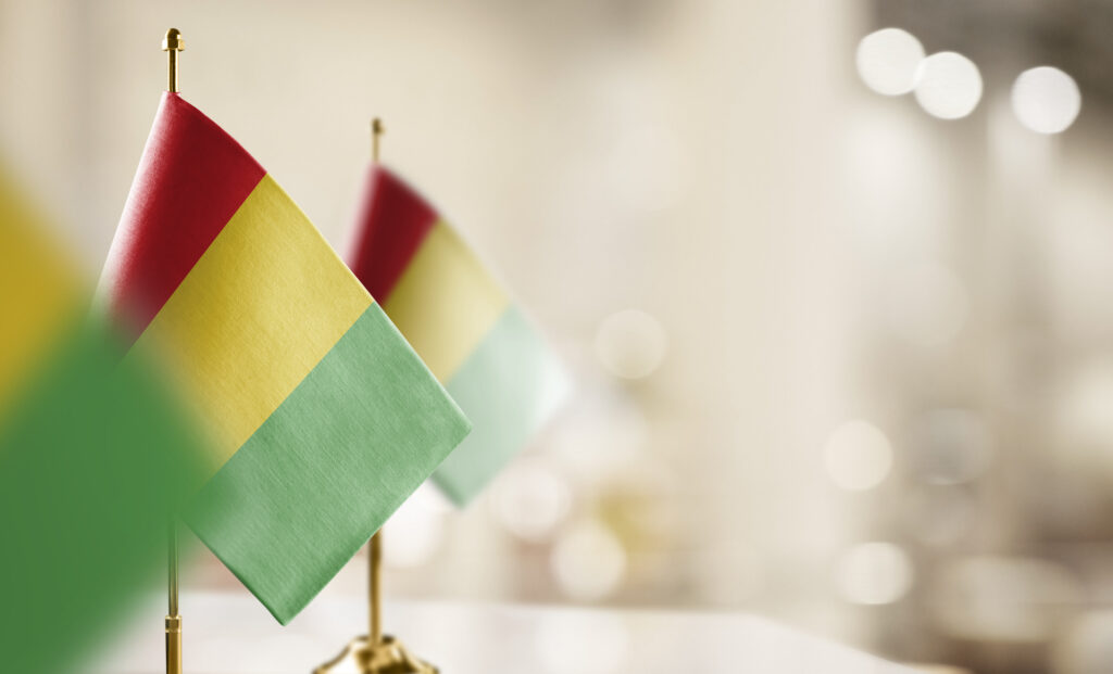 ギニアに2.7億円の無償資金協力　選挙関連法整備支援