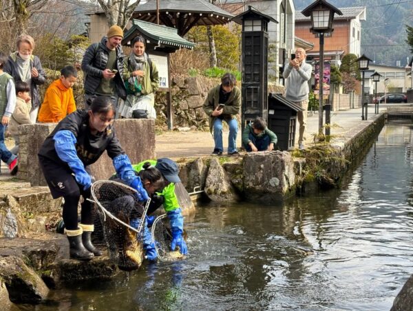 春到来！1000匹の鯉が飛騨古川「瀬戸川」に帰ってきました！