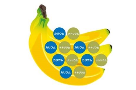 厚生労働省「健康日本21」改定に伴う目標「果物1日200g」制定　バナナを“ベースフルーツ”とする新提案