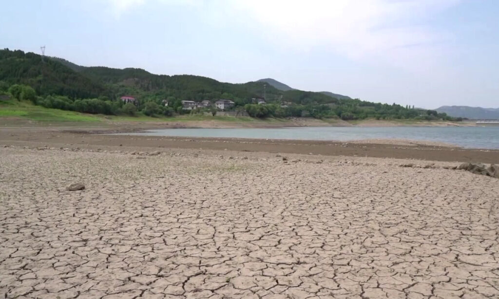 中国で深刻な干ばつ　「作物の9割を失う」農家も