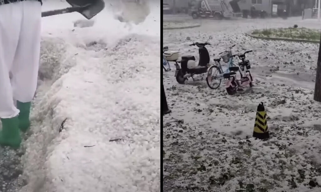 極めて異例　国防相経験者が一度に2人も処分