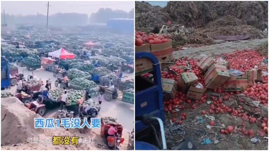 道端に大量に廃棄される農産物　価格急落でも売れない＝中国　