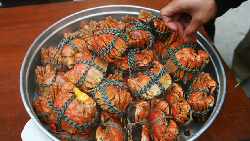 上海ガニも凍える中国経済　消費の低迷と景気冷え込みで贈答需要が激減