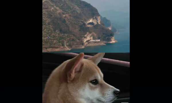 「犬にそっくりの山」が中国・湖北省にあった！