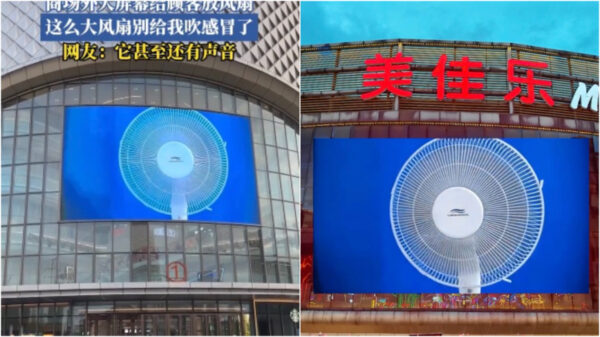 涼しさはスクリーンの中に？　現代中国式「涼の取り方」【動画あり】　