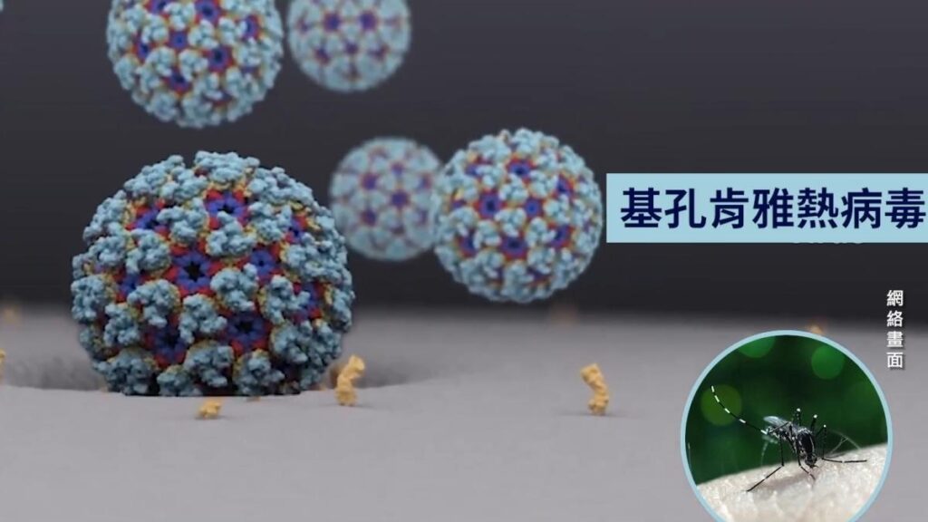 中国でチクングニア熱が蔓延　若者の突然死が増加　現時点ではワクチンや特効薬は無し