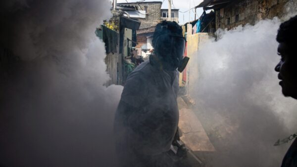 チクングニア熱が拡大　中国6省を最高リスク区に指定