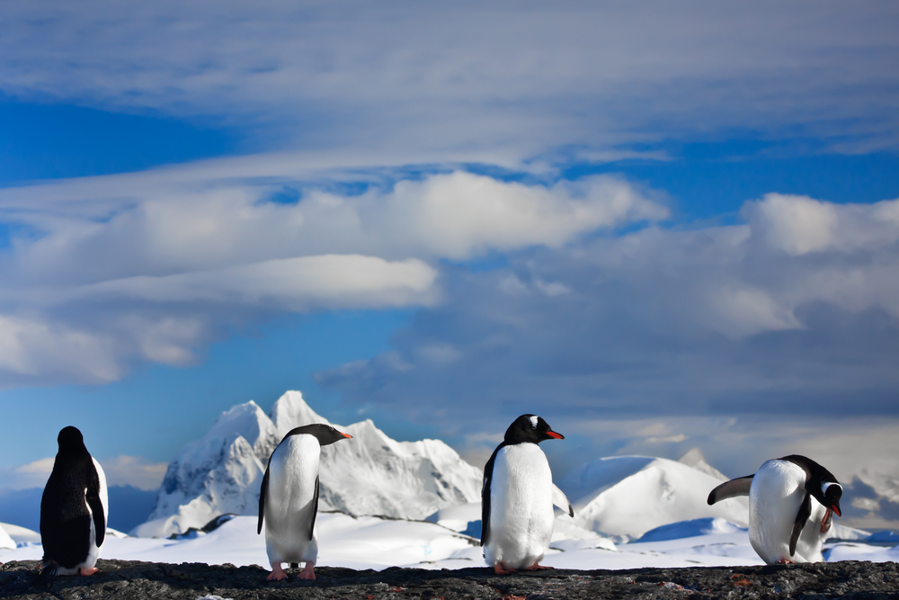 CO2は悪ではない　米エネルギー省の報告書が日本の気候変動政策を揺るがす？