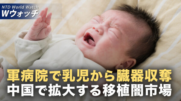 中共による乳児の臓器収奪疑惑 国際組織が新たな闇を追及/法輪功学習者 国連総会会場前で迫害停止を訴え など｜NTD ワールドウォッチ（2025年09月26日）