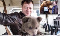 飛行場で救われたクマの赤ちゃん　パイロットとの絆の物語